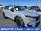 2024 Honda CR-V Hybrid HYBRID AWD SP TRG